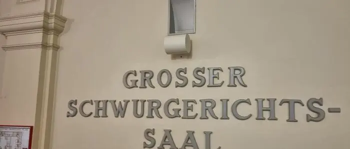 Am Straflandesgericht musste sich der Grazer verantworten
