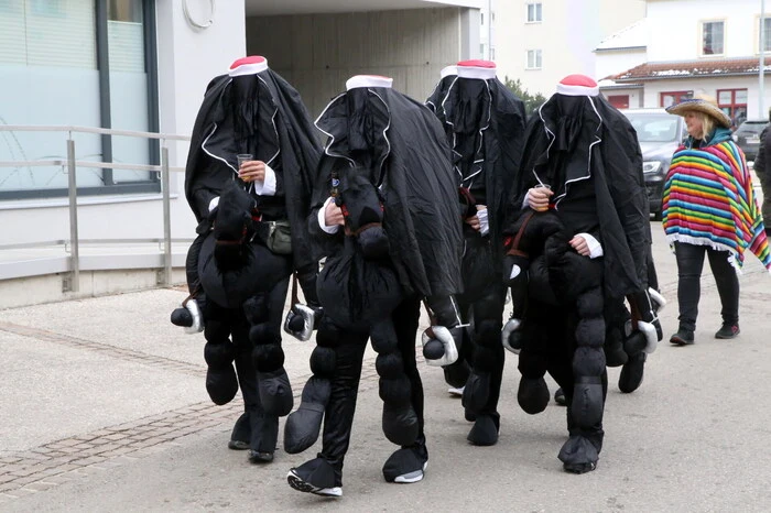 Bestens organisiert wurde der Umzug von der Kulturgemeinschaft Brückl unter Obfrau Christa Noch. 