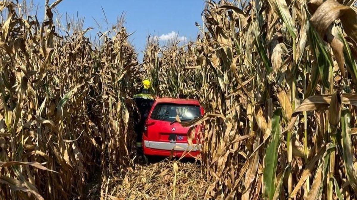 Die Feuerwehr zog das Mopedauto mit vereinten Kräften auf die Straße zurück