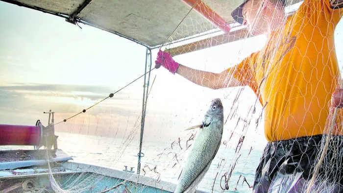 Frisch gefangen und schon auf dem Teller - so frisch ist der Fisch nur direkt am Meer
