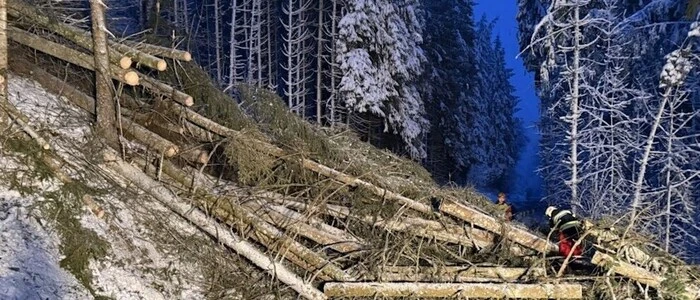 Am Wochenende waren die Mitglieder der FF Passail aufgrund des Schneefalls sehr gefordert