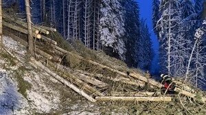 Am Wochenende waren die Mitglieder der FF Passail aufgrund des Schneefalls sehr gefordert