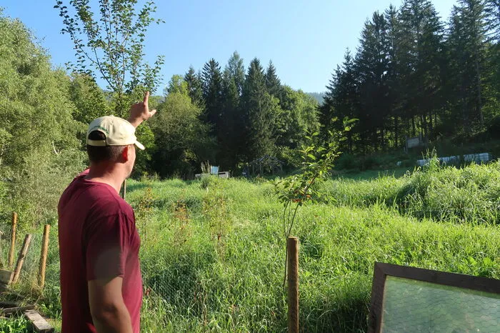 Auch ein Gemeinschaftsgarten ist am Hof Ellersbacher immer mehr am Werden.