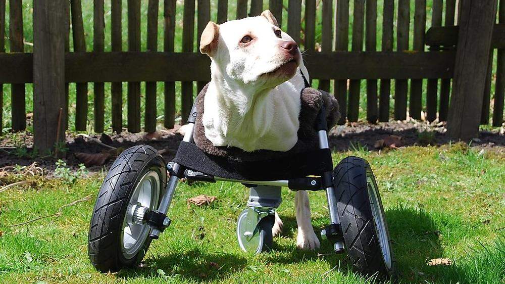 Rollstuhl aus dem 3D-Drucker für Huendin Luisa
