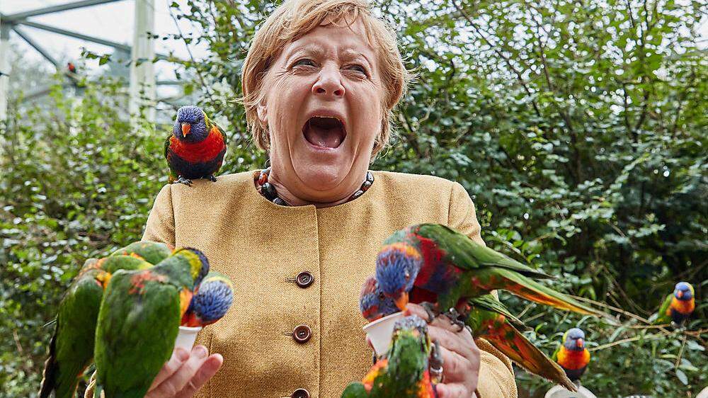 Als das Futternäpfchen leer war, biss der Lori zu - und Bundeskanzlerin Angela Merkel schrie kurz auf 