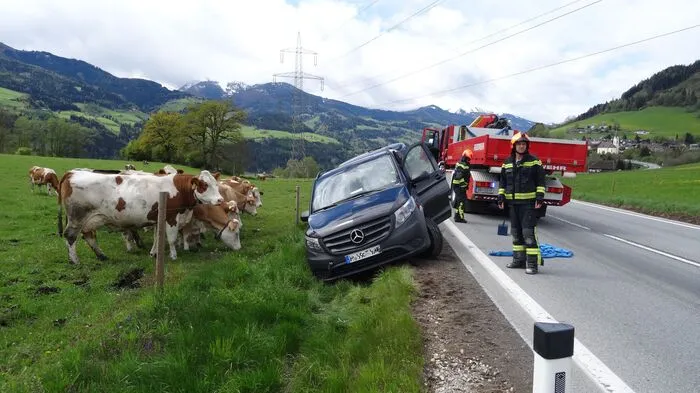 Einfach durchklicken