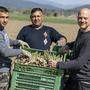Obst- und Gemüsebauer Josef Matschnig mit seinen beiden Helfern aus Rumänien
