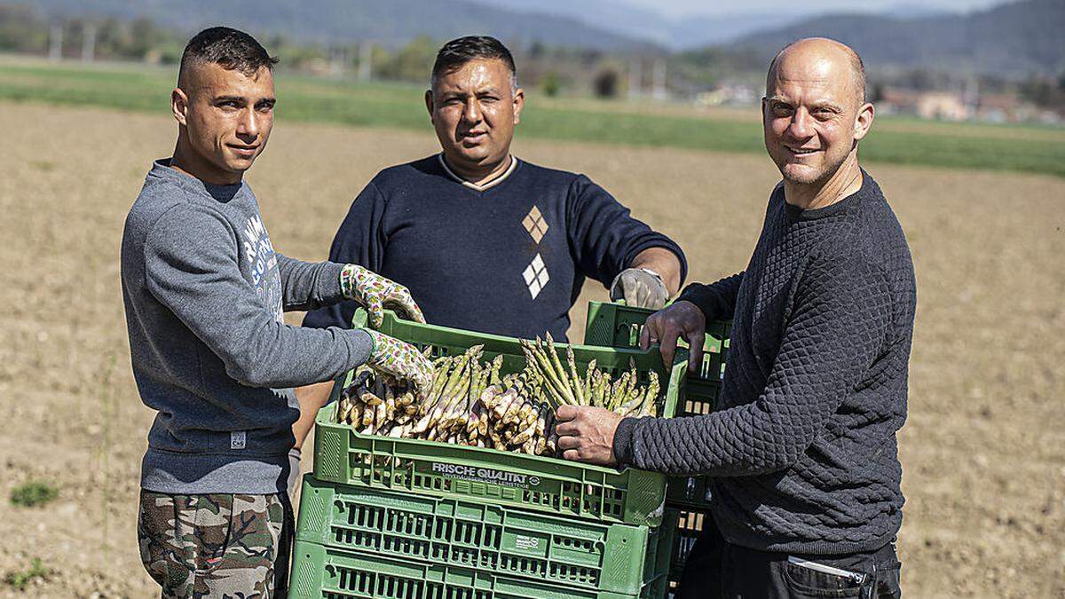 Obst- und Gemüsebauer Josef Matschnig mit seinen beiden Helfern aus Rumänien