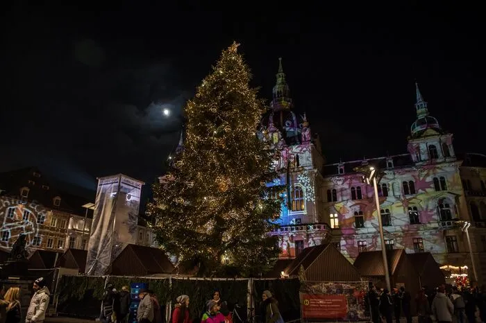 Und im Hintergrund leuchtet das Rathaus