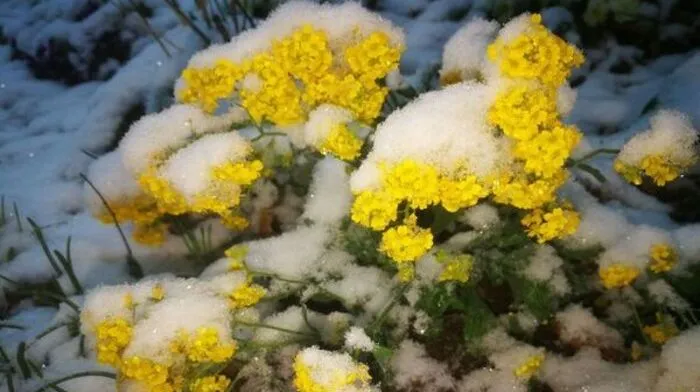 Der Winter ist heuer beständig und zeigt sich auch Mitte April noch einmal in der Steiermark ...