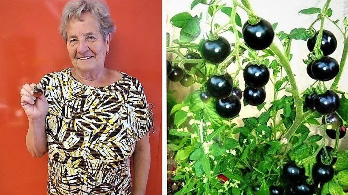 Erna Lenz aus St. Martin und ihre exotischen Tomaten