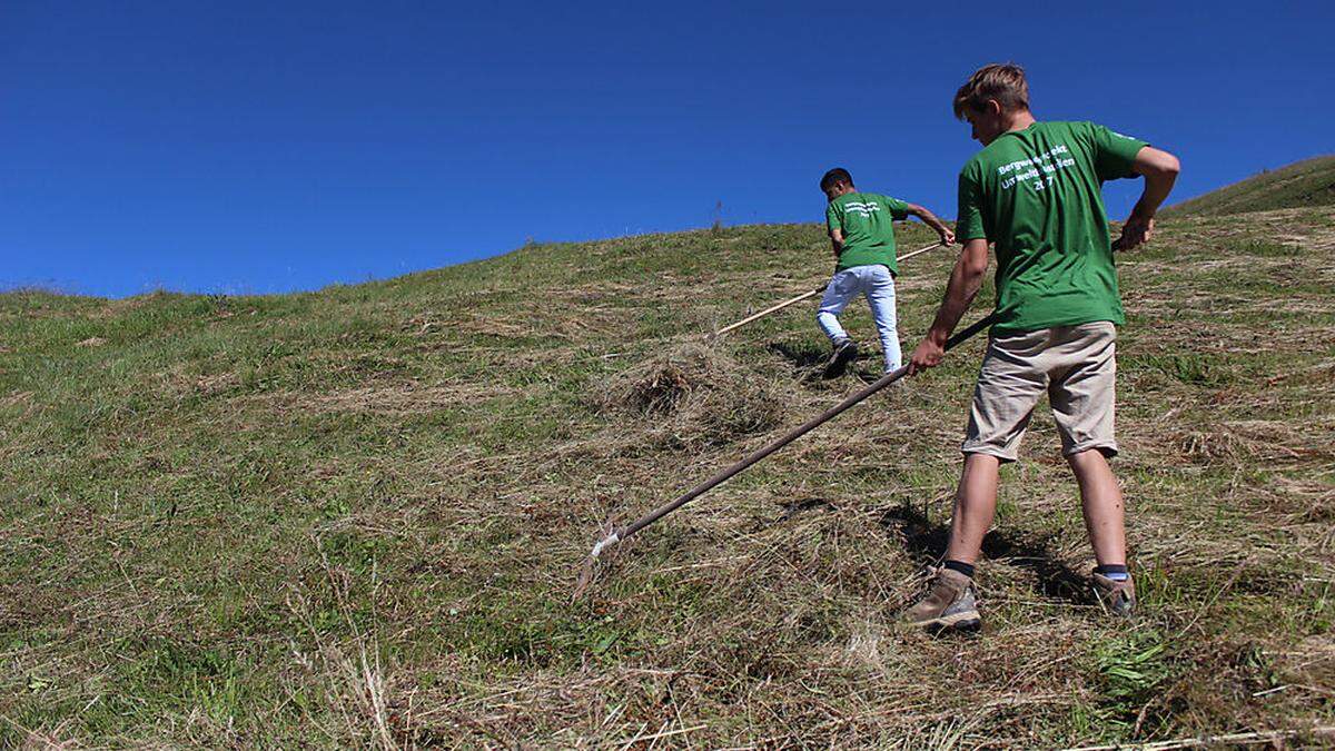 Unvergleichlich artenreiche Vegetation benötigt aufwendige Pflegemaßnahmen