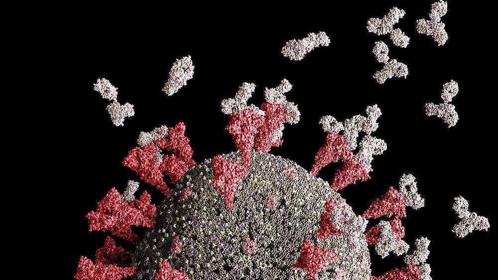 Das Spikeprotein steht im Mittelpunkt eines Impfmythos, der sich Impf-Shedding nennt.
