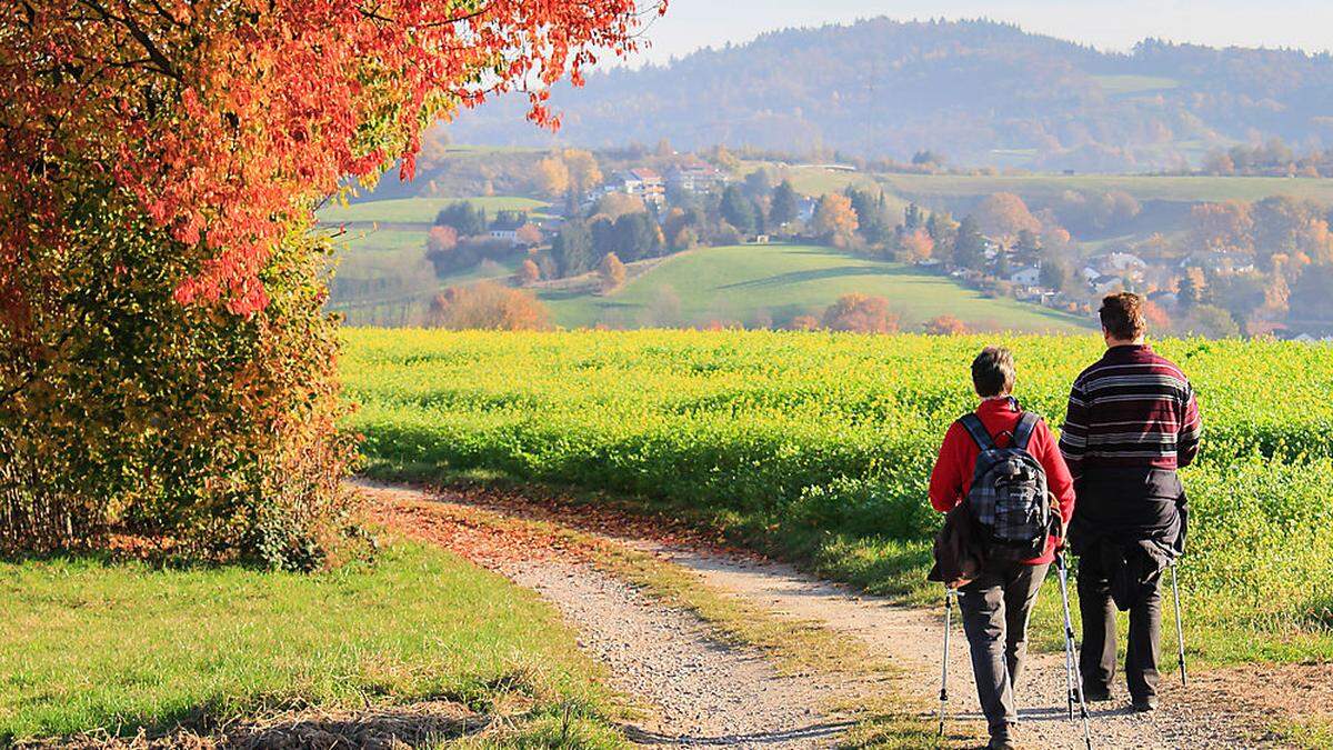 Die Temperaturen locken ins Freie