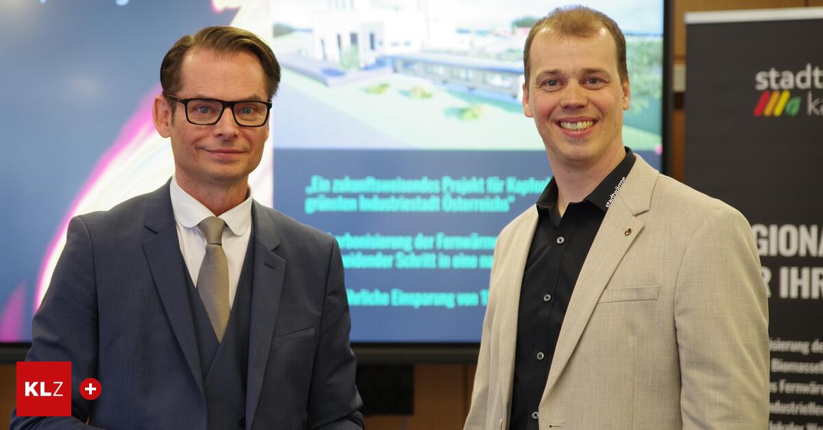 Rechnungshof kritisiert hohe Strompreise und Doppelfunktion des ...