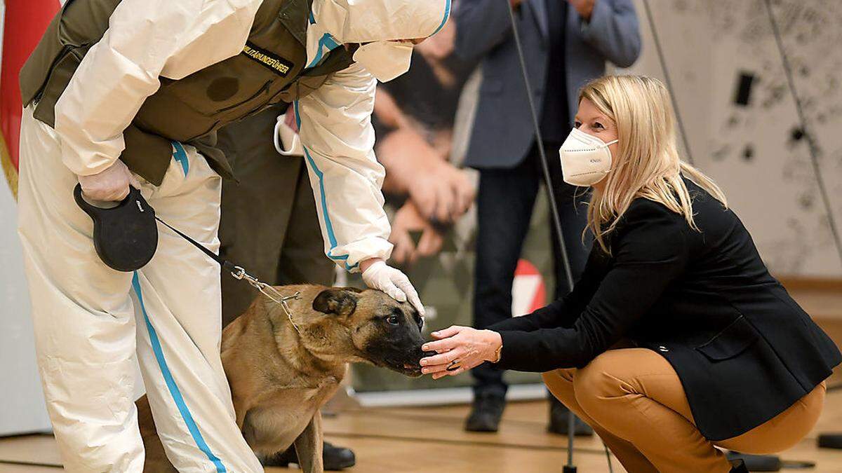 Bundesheerhunde können Covid-19 riechen