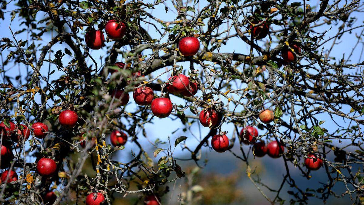 Zwischendurch kommt auch die Sonne durch