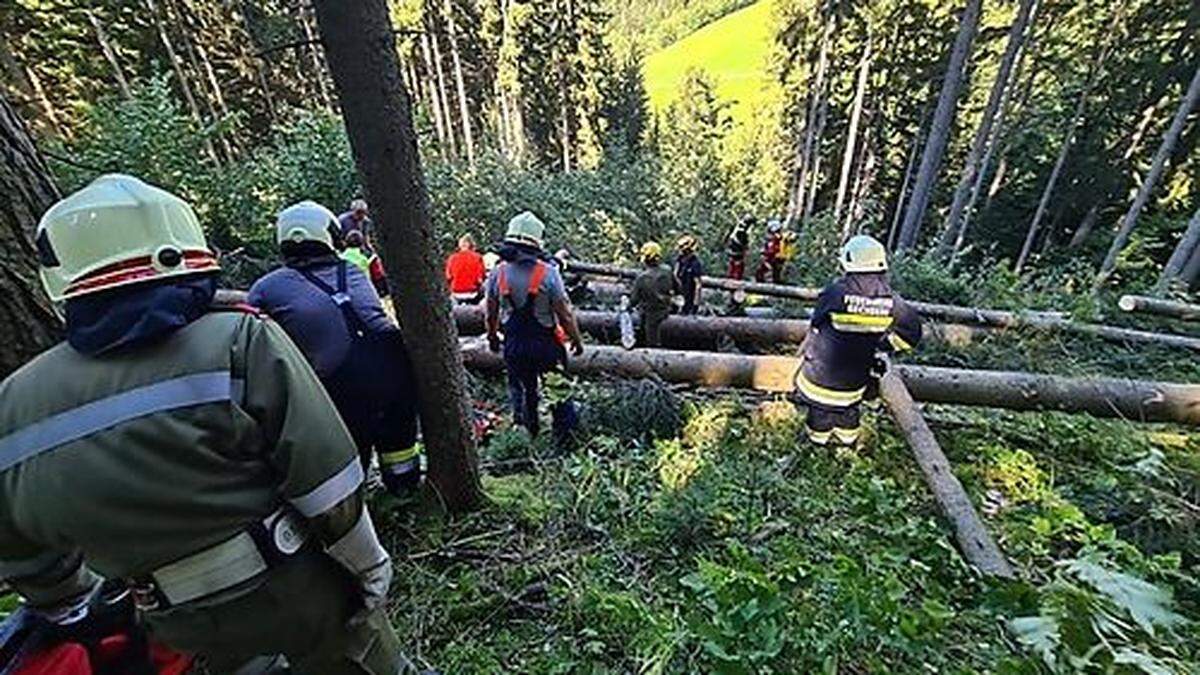 Vier Feuerwehren wurden alarmiert 