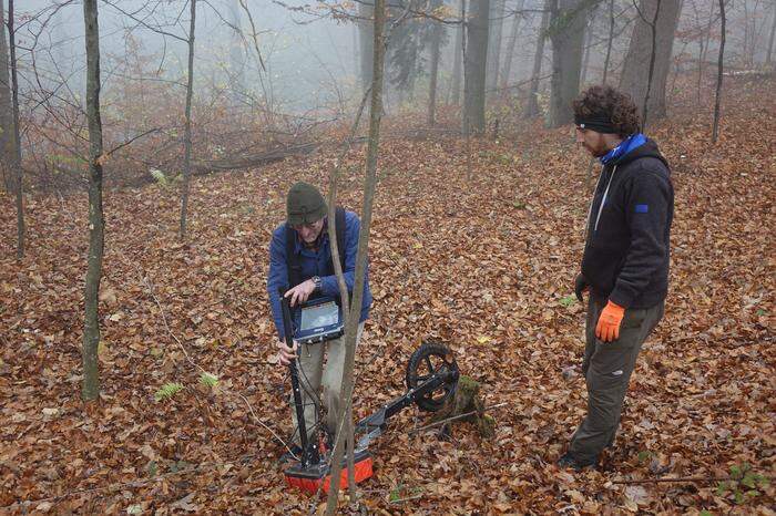 Mit einem Georadar wird der Wald "durchleuchtet"