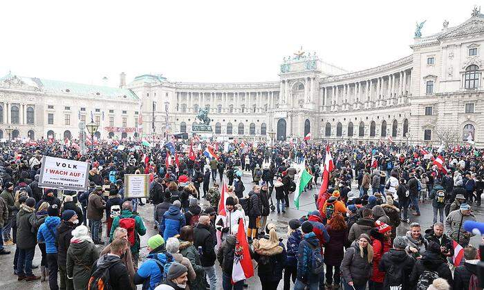 Laut Polizeiangaben tummelten sich zwischen 15.000 und 20.000 Teilnehmer rund um die Kundgebung am Heldenplatz.