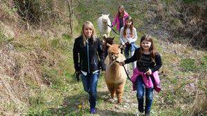 Die drei Mädchen Nicolina, Marilena und Julia mit Begleiterin Stefanie und den Alpakas bei der Wanderung durch den Wald
