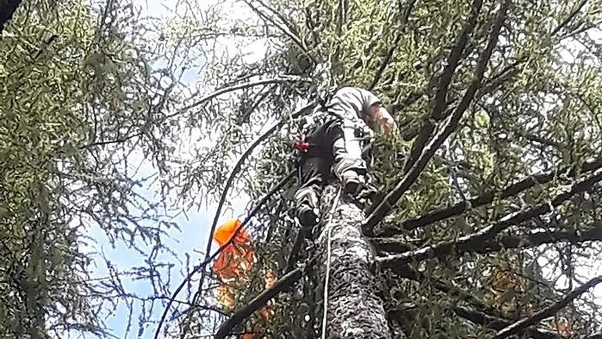 Die Bergretter holten auch noch den Schirm vom Baum
