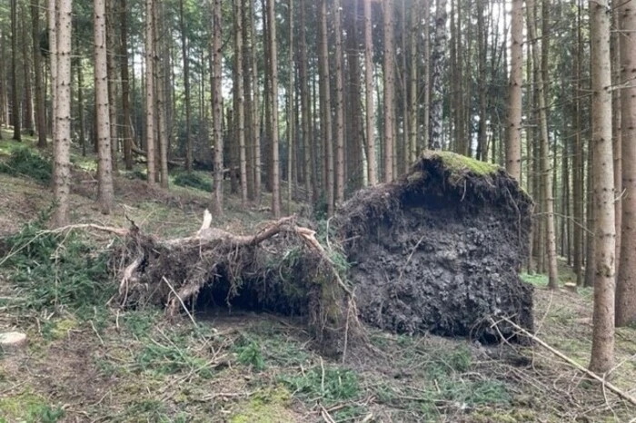 Wind hinterließ starke Spuren.