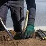 Die Spargelernte in Friaul läuft auf Hochtouren 