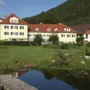 Ein großes Anwesen auf einer Wiese. Davor ist ein Schwimmteich zu sehen.
