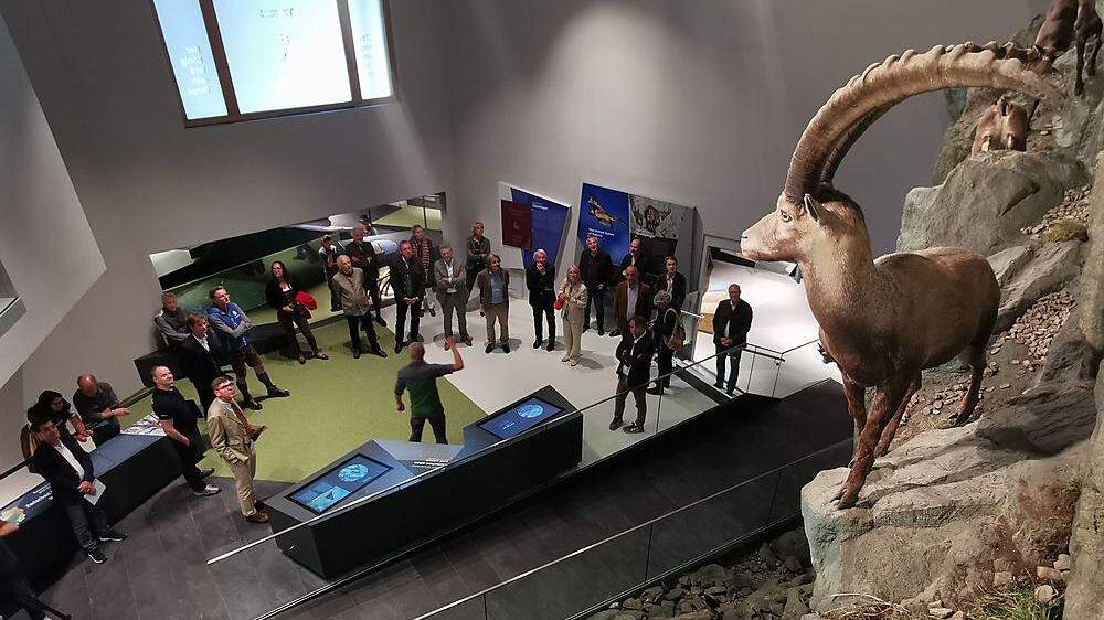 Der Steinbock ist Mittelpunkt der modernen und multimedial erlebbaren Dauerausstellung 
