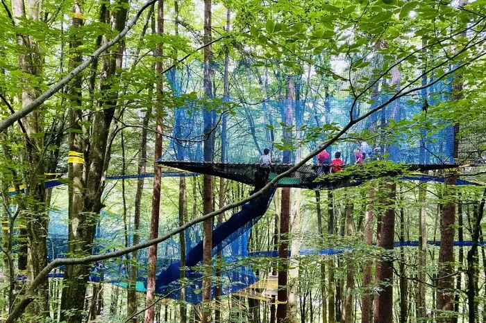TREENETS Abenteuer
