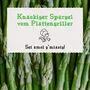 Spargel vom Plattengriller