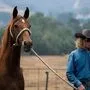 Dieser junge Cowboy muss sein Pferd verkaufen