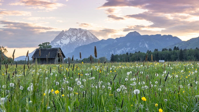 Mehr Natur, weniger Beton
