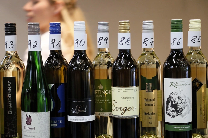 Neben Fürstenfelds Bürgermeister Franz Lost gratulierten Landtagsabgeordneter Hubert Lang, Kammerobmann Herbert und der Obmann des Weinbauvereines Fürstenfeld Stefan Tauchmann den strahlenden Gebietssiegern.