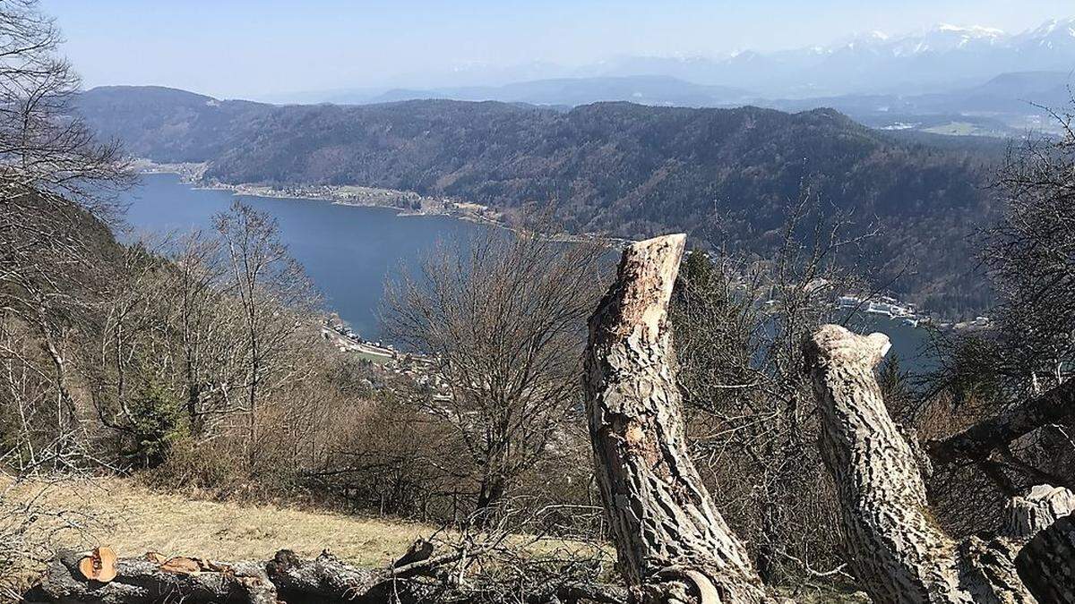 Blick über den Ossiacher See 