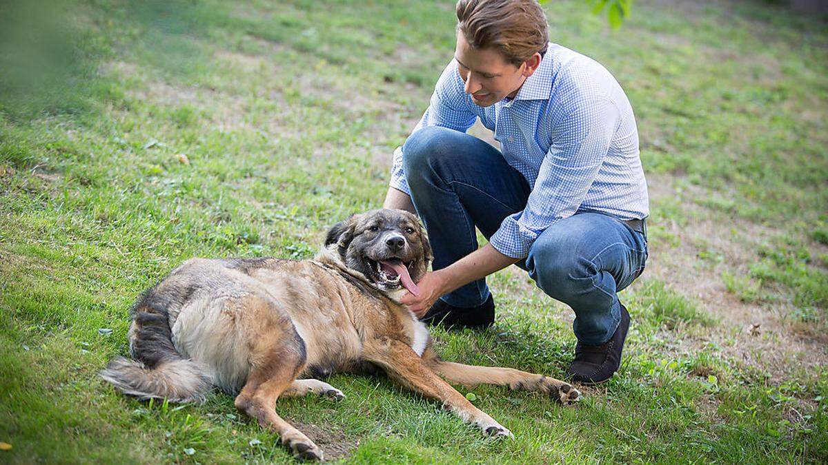 Aus einem Wahlkampfvideo der ÖVP: Kurz mit Hund 