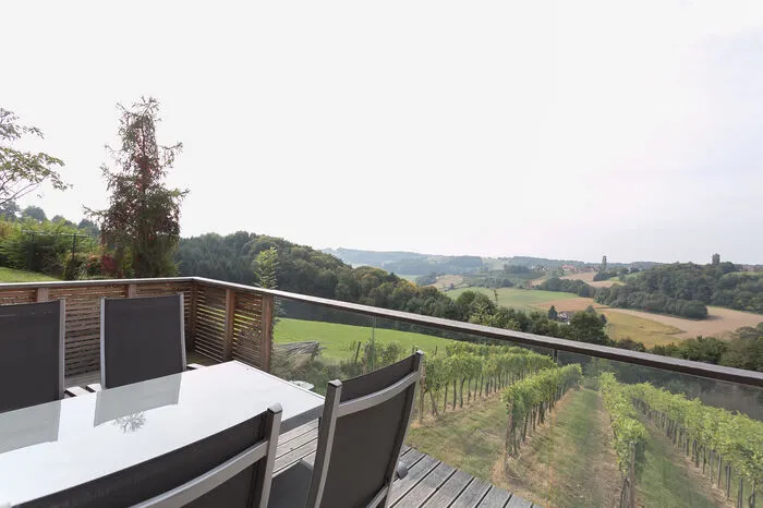 Der Ausblick über die Reben in Richtung Frauenberg