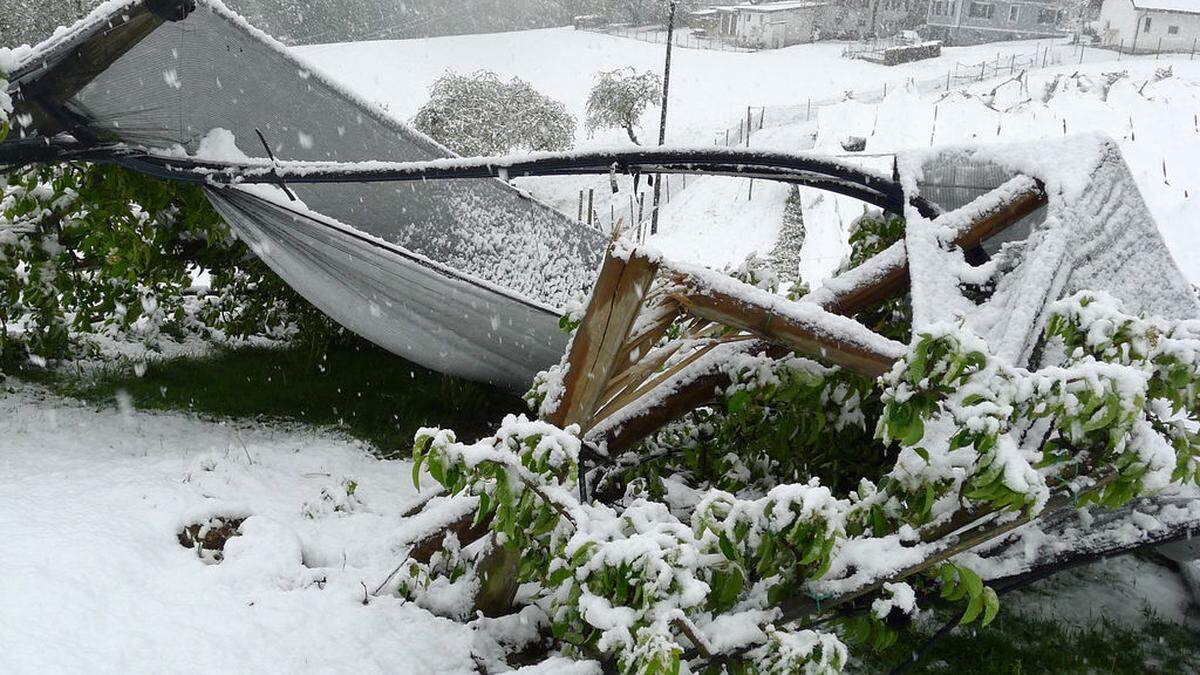 Weit mehr als 200 Millionen Euro an Schäden richteten Frost und Schneefall in der Steiermark an