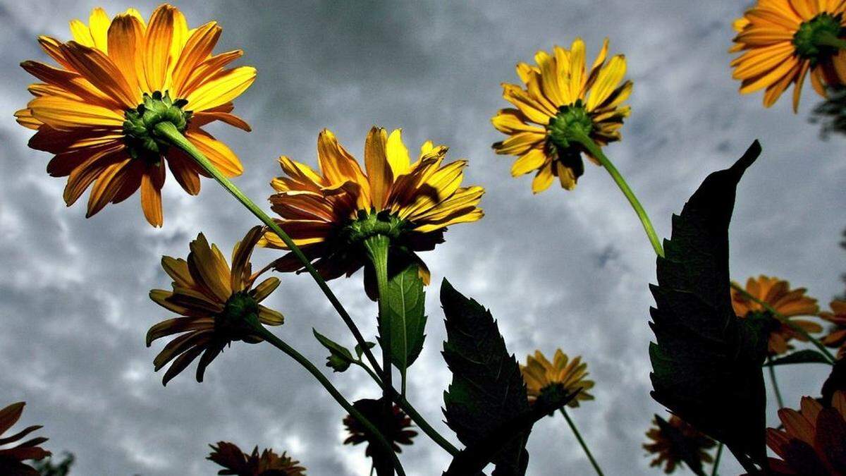 Im Süden sonnig, im Norden regnerisch