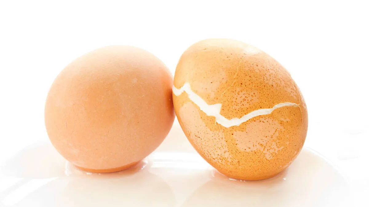 Wenn Eierschalen aufplatzen