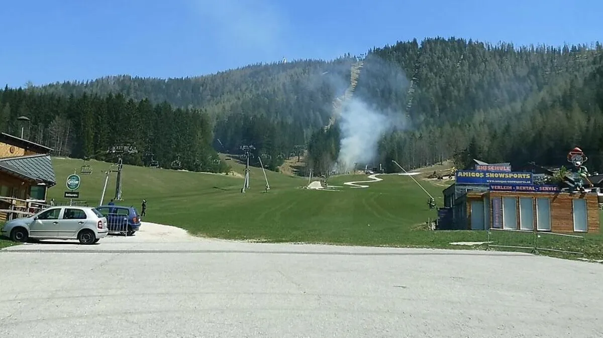 700 Meter oberhalb der Talstation brannte der Wald