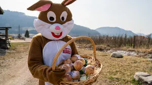 Osternester verstecken mit dem Kleinen Zeitung Osterhasen