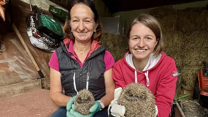 Michaela Machnitsch und ihre Tochter Luisa kümmern sich gemeinsam um verletzte und geschwächte Igel