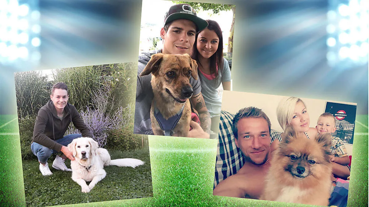 Flecker (links) genießt mit "Luna" die Zeit in der Natur. Frieser (Mitte) und Freundin Dani gehen mit "Kira" zwei bis drei Stunden täglich Gassi. Leitgeb (rechts) mit Freundin Bianca und ihrem Sohn Elias - in erster Reihe Zwergspitz "Wolle".