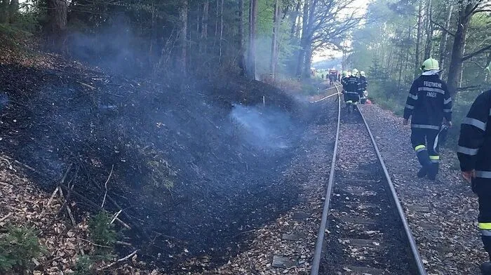 Die Feuerwehrleute der FF Anger konnten den Brand rasch löschen