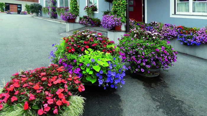 Das war der Blumenschmuckbewerb! Die Steiermark ist wieder im Blumenfieber! Klicken Sie sich durch die Prämierten in der Kategorie "Schönste Buschenschenken und Heurige"!