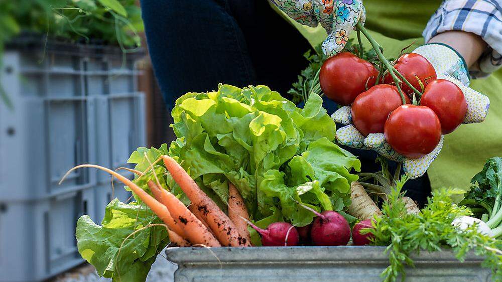 Forscher rufen zu einer mehr als hundertprozentigen Erhöhung beim Verzehr von Gemüse, Obst und Nüssen auf
