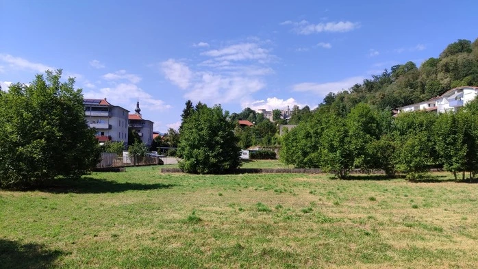 Zu sehen ist eine grüne Wiese und dahinter stehen Häuser 