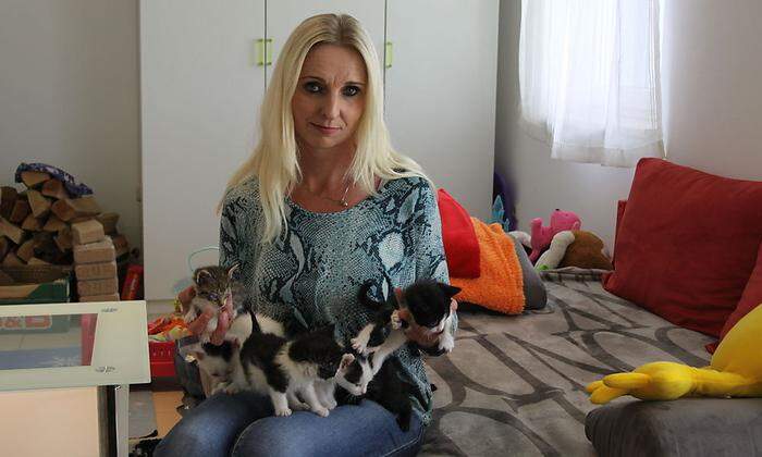 Marion Weiner päppelt die sieben Katzenkinder wieder auf.